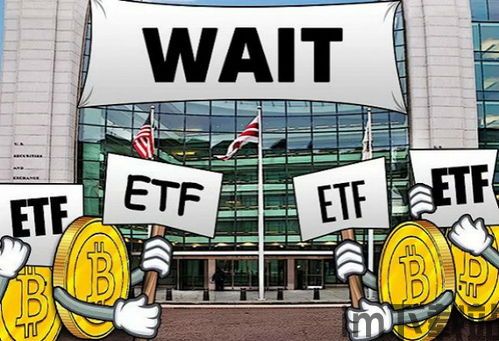 比特币第一次全球大会(图1) 比特币第一次全球大会(图1)