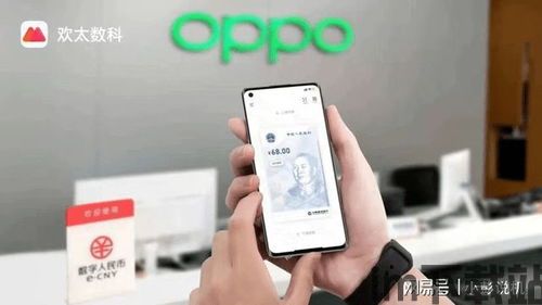 oppo上的钱包借钱,便捷金融服务的全新体验(图6) oppo上的钱包借钱,便捷金融服务的全新体验(图6)