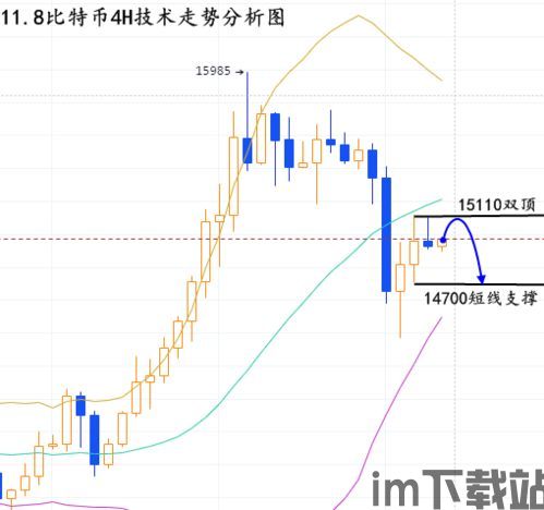 美国大选和比特币走势图,紧密相连的金融风云(图4)