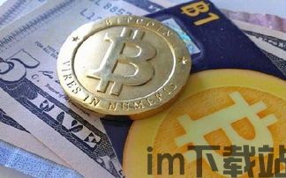 比特币发行规则是什么,比特币发行规则概述(图4) 比特币发行规则是什么,比特币发行规则概述(图4)