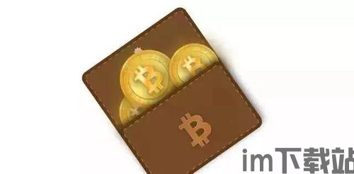 能存放usdt 的钱包,USDT钱包的选择与使用指南(图4) 能存放usdt 的钱包,USDT钱包的选择与使用指南(图4)