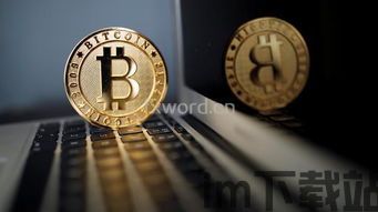 比特币一般用来干嘛的,数字货币的多面手(图12) 比特币一般用来干嘛的,数字货币的多面手(图12)