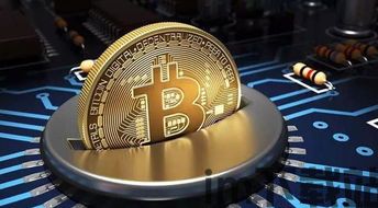 比特币一般用来干嘛的,数字货币的多面手(图13) 比特币一般用来干嘛的,数字货币的多面手(图13)