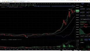 美盘比特币行情走势图,洞察市场动态(图3)