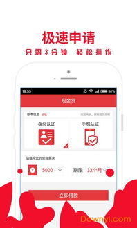 小额usdt钱包,什么是USDT?(图4) 小额usdt钱包,什么是USDT?(图4)