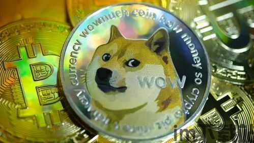 土狗币比特币,dogecoin狗狗币官网(图3)