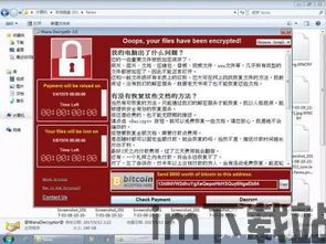 比特币勒索病毒,了解其传播方式、危害及防范措施(图3)