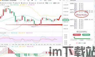 比特币止损优先级是什么,理解其重要性及设置策略(图4)