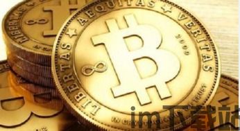 比特币天下第一是真的吗,乄乂入乂乂(图5) 比特币天下第一是真的吗,乄乂入乂乂(图5)