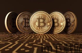 中本聪是二个比特币,两位比特币创始人的神秘面纱(图6) 中本聪是二个比特币,两位比特币创始人的神秘面纱(图6)