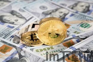 比特币资金流入前四名,机构投资者青睐之谜(图12) 比特币资金流入前四名,机构投资者青睐之谜(图12)