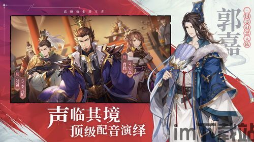 三国志幻想大陆的武将养成功能设计,三国志幻想大陆武将养成功能设计解析(图2) 三国志幻想大陆的武将养成功能设计,三国志幻想大陆武将养成功能设计解析(图2)