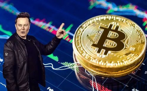 马斯克为什么推广比特币,马斯克为何成为比特币的坚定支持者?(图3) 马斯克为什么推广比特币,马斯克为何成为比特币的坚定支持者?(图3)
