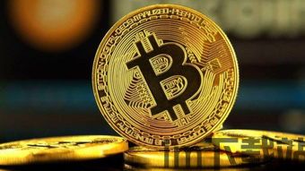 乌龟币 比特币,两种加密货币的对比分析(图1) 乌龟币 比特币,两种加密货币的对比分析(图1)