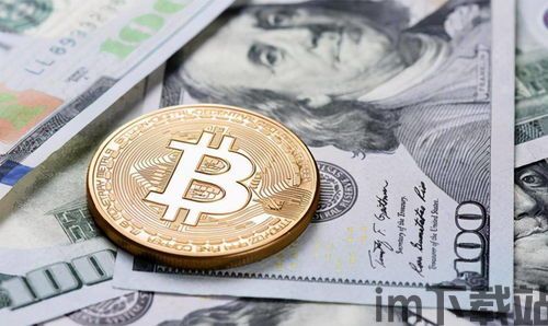 乌龟币 比特币,两种加密货币的对比分析(图6) 乌龟币 比特币,两种加密货币的对比分析(图6)