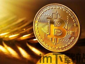 比特币接受,全球商家纷纷拥抱加密货币支付(图1) 比特币接受,全球商家纷纷拥抱加密货币支付(图1)