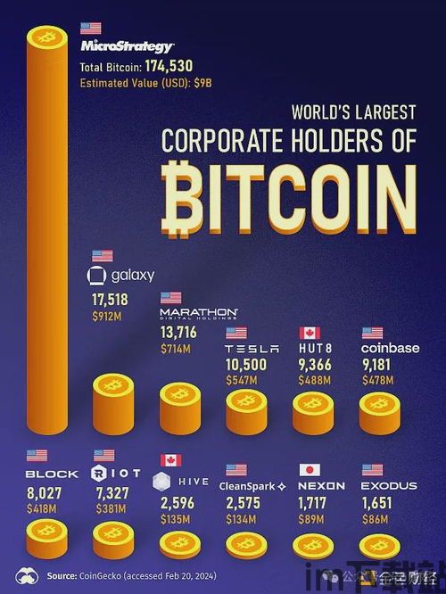 世界上谁有的比特币最多,比特币的崛起与价值(图7)