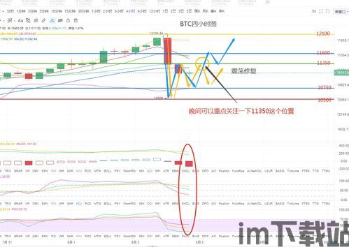 比特币极限币,比特币极限币概述(图3)