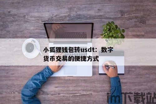 怎么把usdt转到狐狸钱包,如何将USDT转账到小狐狸钱包？详细步骤解析(图3)