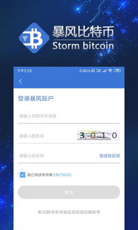 暴风比特币,市场波动与未来展望(图1)