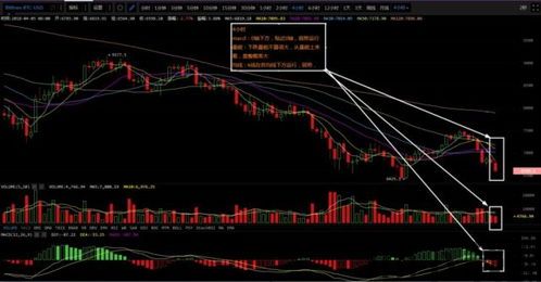 比特币午盘最新行情分析,多空交织，市场情绪谨慎(图3)