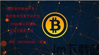 金山比特币,引领加密货币市场的新星(图1)