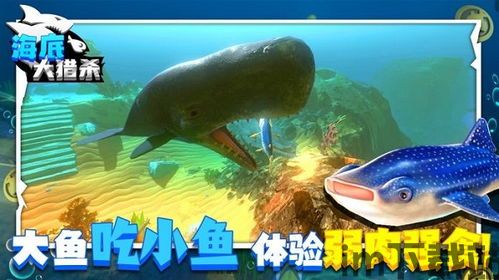 海底大猎杀有创意工坊吗,创意工坊的海洋奇遇(图9)