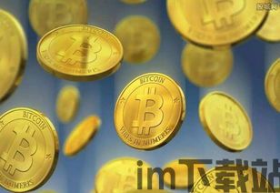 比特币最高价格是多少钱,比特币最高价格的历史与展望(图3) 比特币最高价格是多少钱,比特币最高价格的历史与展望(图3)