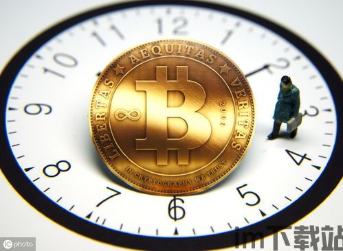 比特币大师,他们的智慧与投资之道(图8)