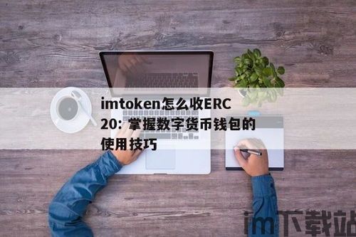 imtoken钱包怎么收erc的usdt,imToken钱包收ERC USDT的详细步骤(图2) imtoken钱包怎么收erc的usdt,imToken钱包收ERC USDT的详细步骤(图2)