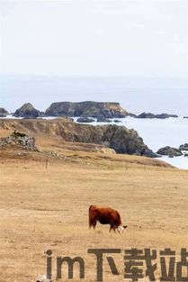 海边牧场,海洋生态与旅游融合的新篇章(图3)