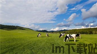 海边牧场,海洋生态与旅游融合的新篇章(图5)