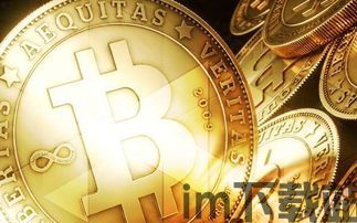 比特币比特币兑美元,2024年市场动态与预测(图1)