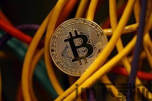 比特币为什么这么火,比特币为什么这么火？揭秘加密货币的火爆原因(图3)