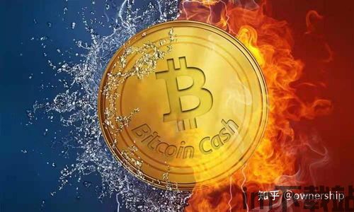 比特币为什么这么火,比特币为什么这么火？揭秘加密货币的火爆原因(图4)
