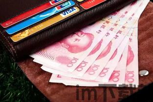 国内能用的usdt钱包有哪些,国内可用的USDT钱包推荐(图1)