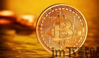 比特币 正门,加密货币的未来趋势与机遇(图4) 比特币 正门,加密货币的未来趋势与机遇(图4)