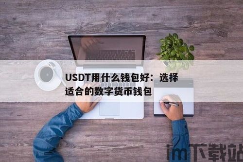 usdt使用什么钱包,USDT钱包的选择与使用指南(图4) usdt使用什么钱包,USDT钱包的选择与使用指南(图4)