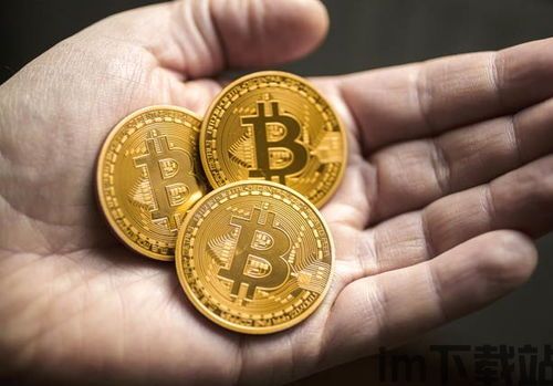 HNS比特币1001HNS比特币,比特币1000(图1)