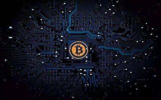 HNS比特币1001HNS比特币,比特币1000(图7)