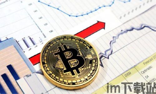比特币持币,投资与信仰的双重考量(图5) 比特币持币,投资与信仰的双重考量(图5)