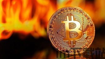 比特币黑马币,揭秘其崛起背后的秘密(图1) 比特币黑马币,揭秘其崛起背后的秘密(图1)