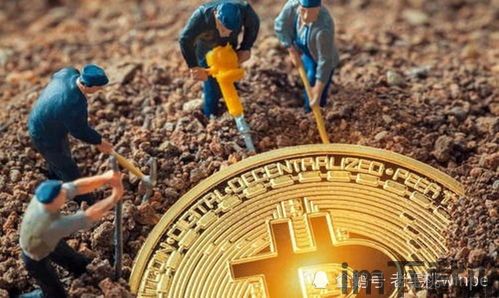 挖比特币要多少钱一个月(图3)