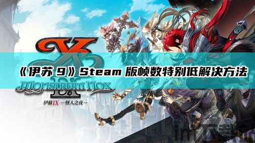 伊苏9画面设置,细节与优化(图2)