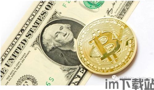 比特币路易币,数字货币的崛起与未来展望(图2) 比特币路易币,数字货币的崛起与未来展望(图2)