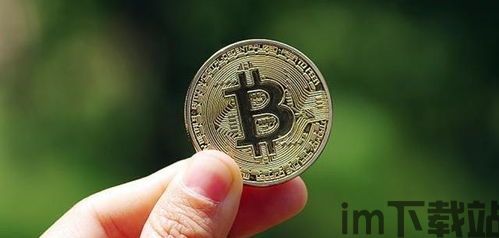 比特币48万,比特币48万哥(图4) 比特币48万,比特币48万哥(图4)
