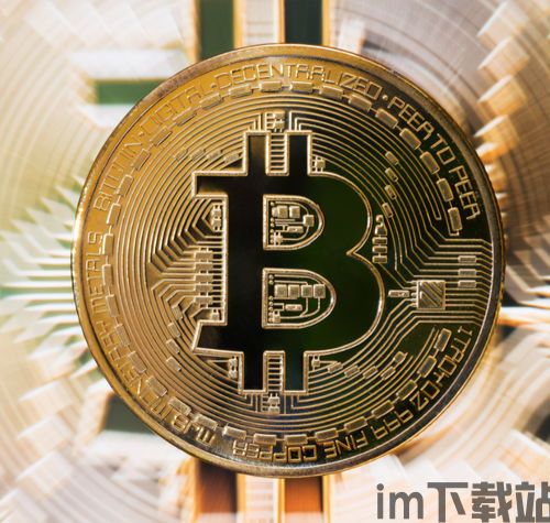 比特股手上比特币,投资与收益的双重考量(图14)