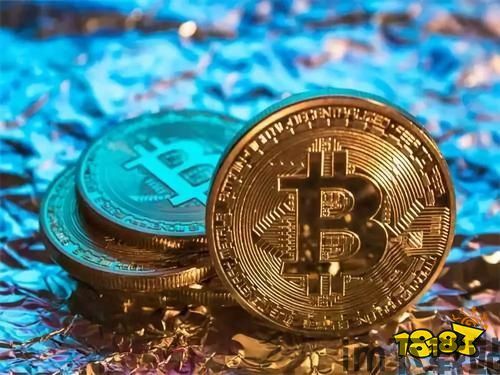 世界上比特币一共有多少,世界上比特币究竟有多少？(图3)