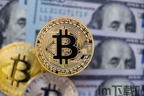 世界上比特币一共有多少,世界上比特币究竟有多少？(图5)