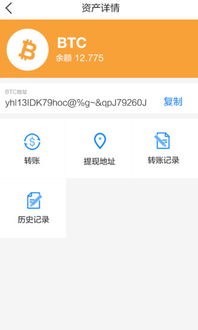 blockchain钱包usdt,功能、优势与使用指南(图4) blockchain钱包usdt,功能、优势与使用指南(图4)